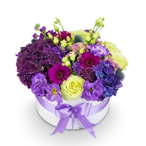 Box fialových květin